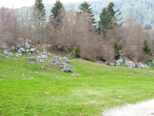 Biancoia Val Lastaro