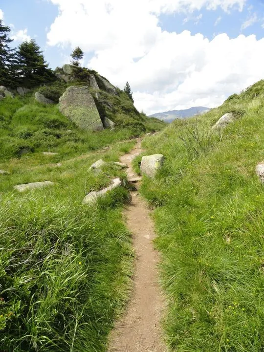 Colbricon - Il sentiero