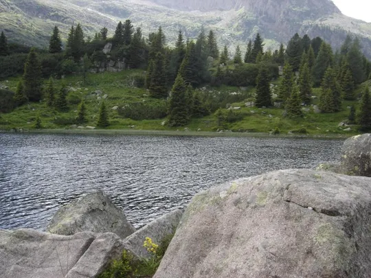 Colbricon - Tipiche rocce vulcaniche porfido-quarzifere