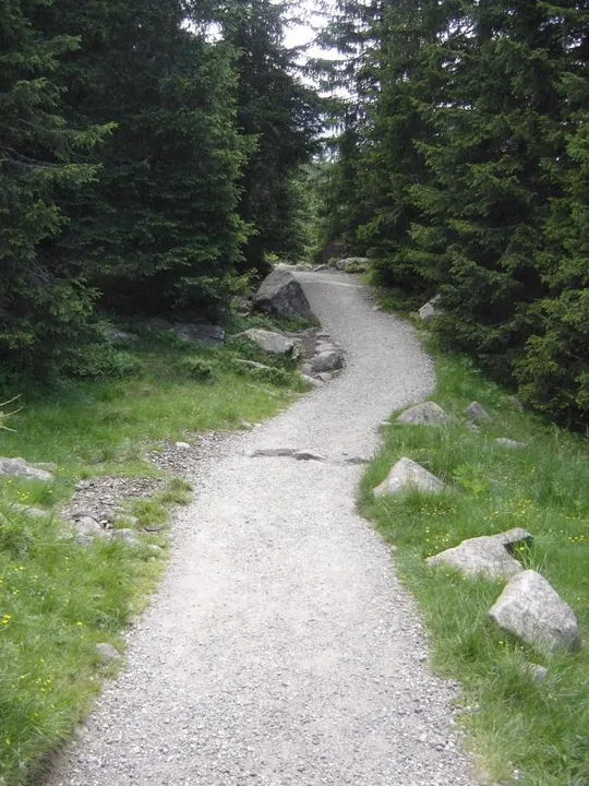 Colbricon - sentiero