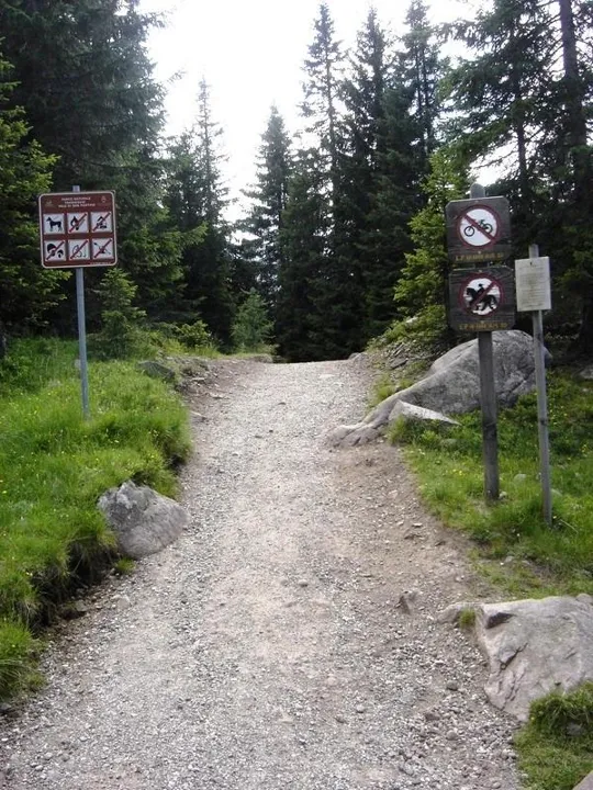 Colbricon - L'inizio del sentiero