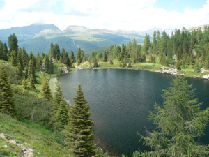Il Lago inferiore di Colbricon - sull sfondo Cima Bocche e Cima Juribrutto