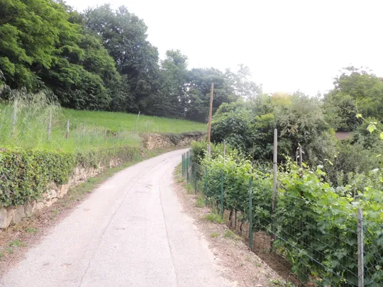 Breve tratto su strada