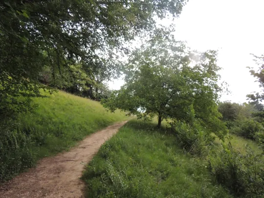 Tratto sul pendio erboso