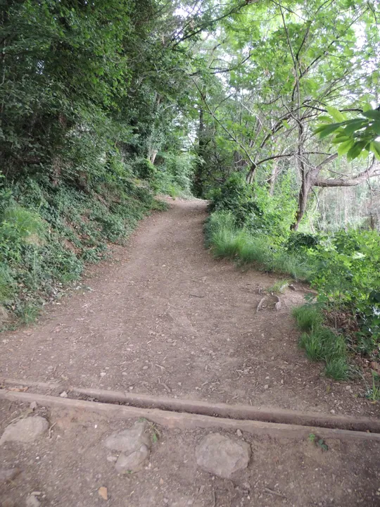 Dettaglio del sentiero