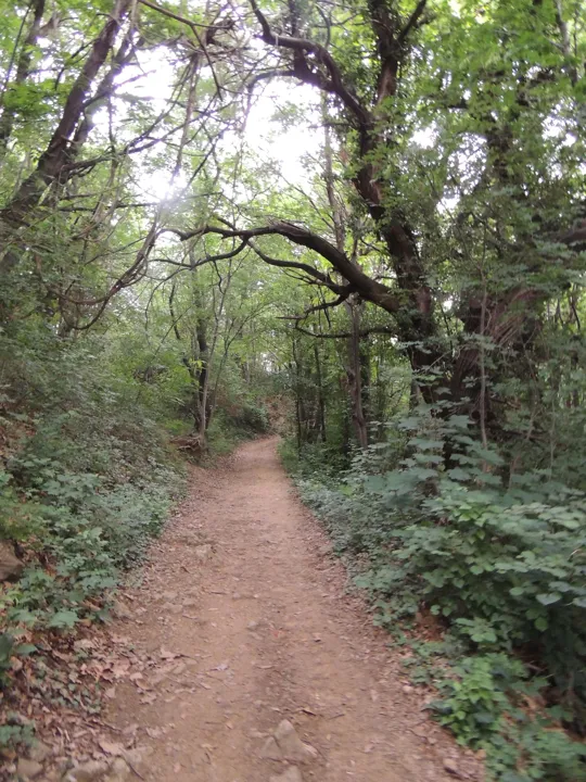 Dettaglio del sentiero