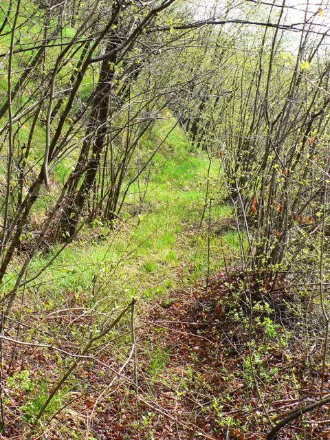 - Forte Cornolò - Sentiero