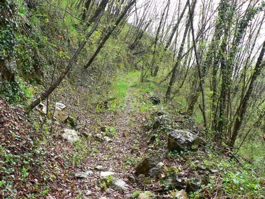 - Forte Cornolò - Sentiero