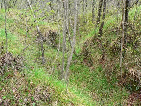 Forte Cornolò - Trincee