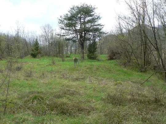 Forte Cornolò - a dx un casotto per la caccia