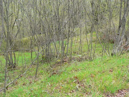 Forte Cornolò - Trincee