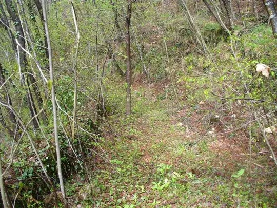 - Forte Cornolò - Sentiero