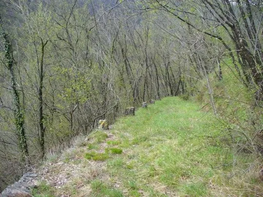 Forte Cornolò - Strada militare con i cippi
