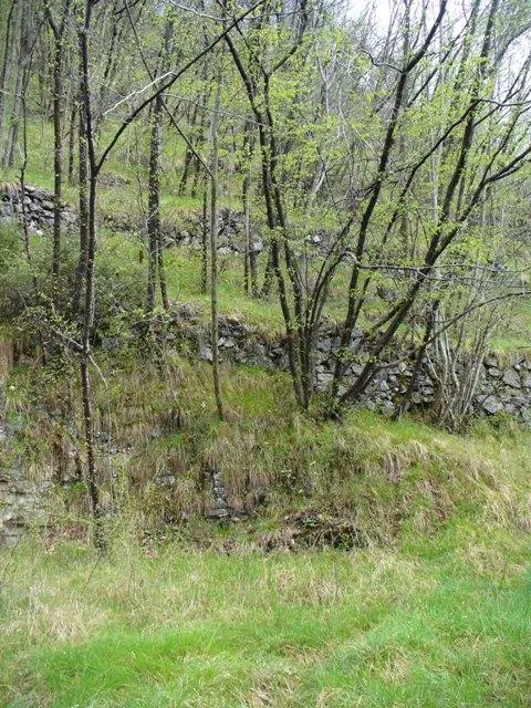 Forte Cornolò - Terrazzamenti per rinforzare il pendio