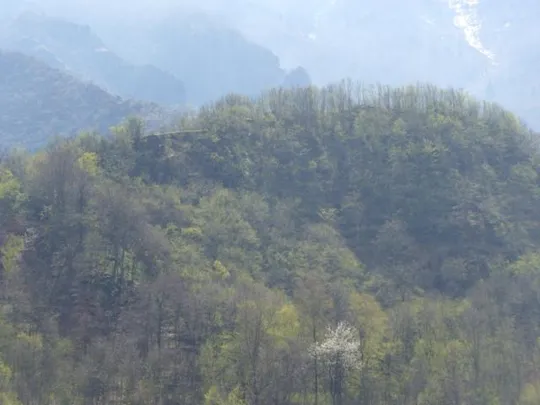Forte Cornolò - E' possibile distinguere l'orlo della muratura del Forte