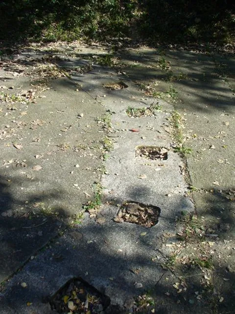 Forte Gazzera - Corsia per il brandeggio