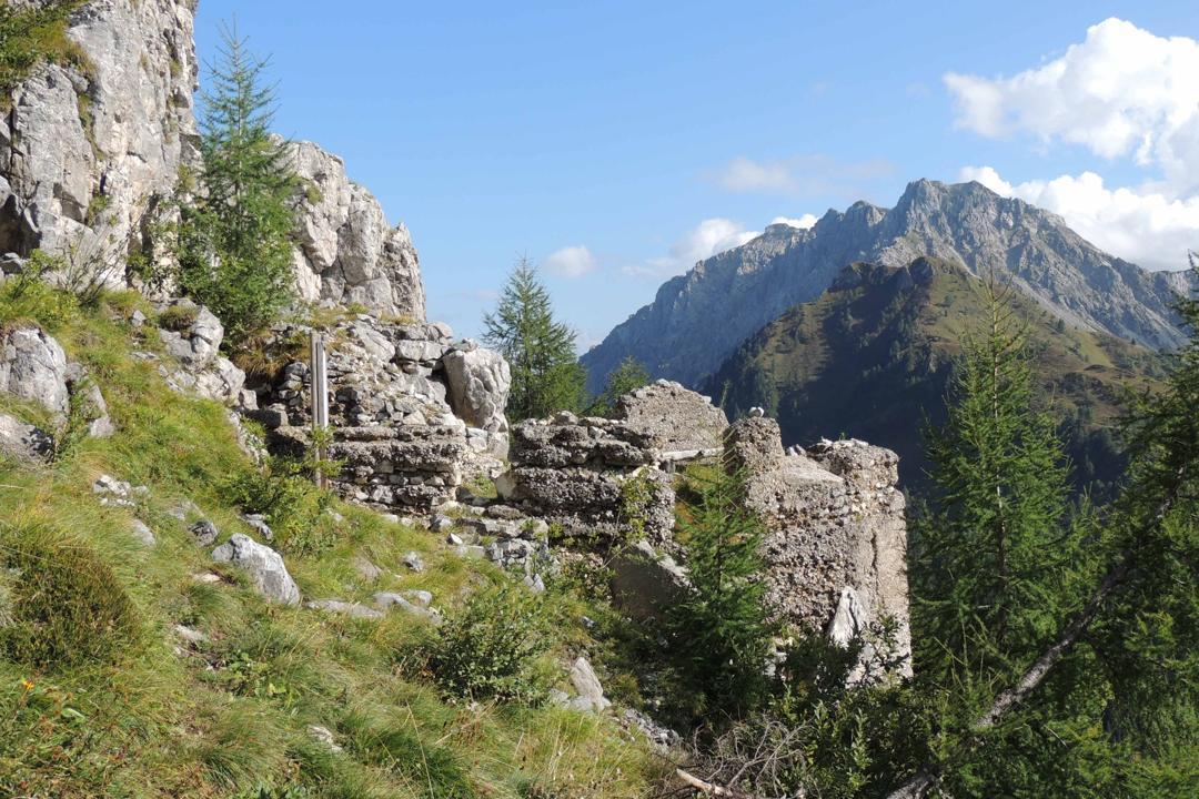 Fortini Val Sesis