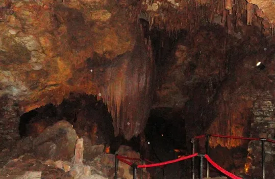 - Kraljevstvo - Ali di Pipistrello