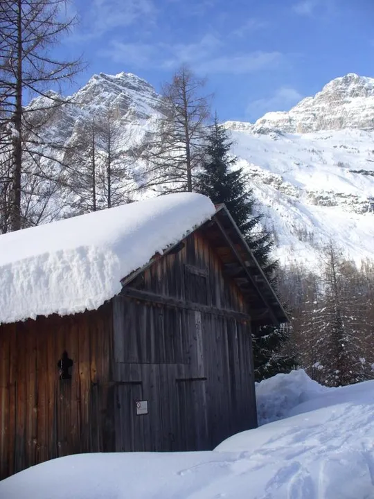 Malga Grava - Baracche nel bosco