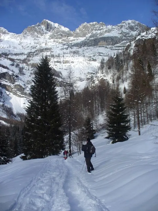 Malga Grava - Traccia nella neve