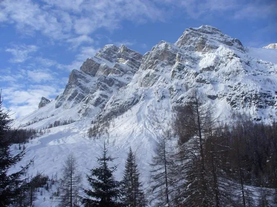 Malga Grava - Cima del Moiazza Sud