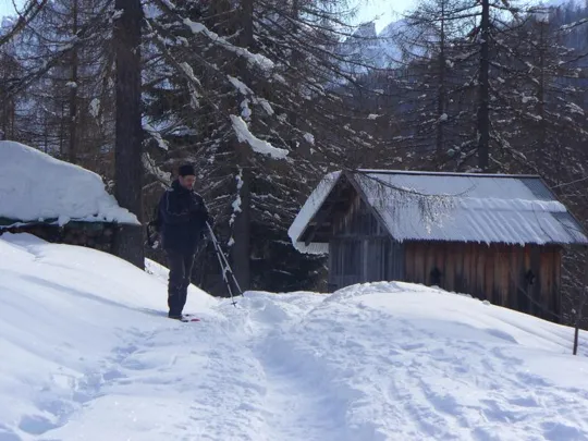Malga Grava - Panorami