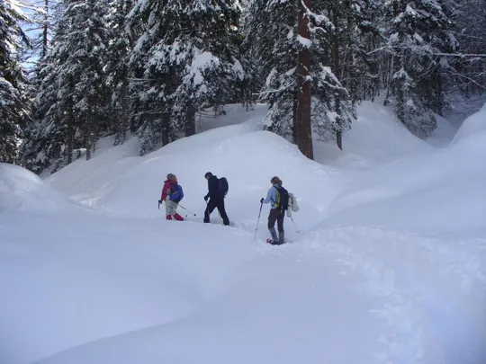 Malga Grava - Nella neve ...