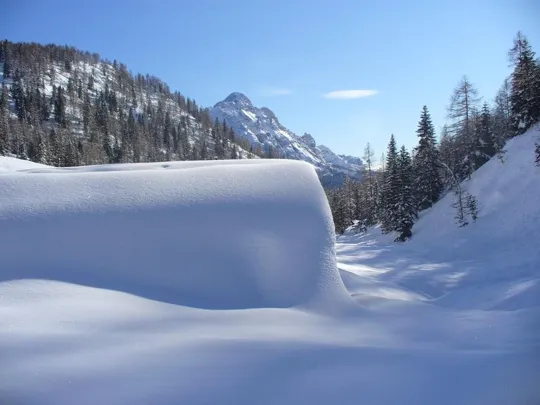 Malga Grava - Un capanno, una legnaia o una malga ??