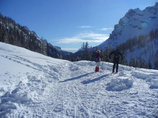 Malga Grava - Pronti per il  ritorno