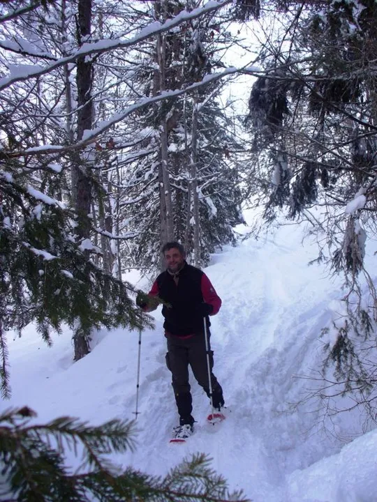 Malga Grava - nel bosco ...
