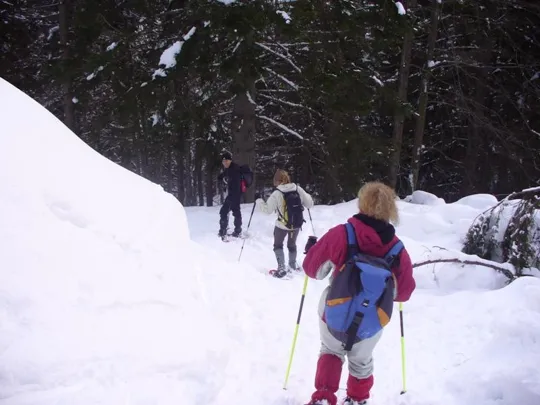 Malga Grava - Una ripida discesa