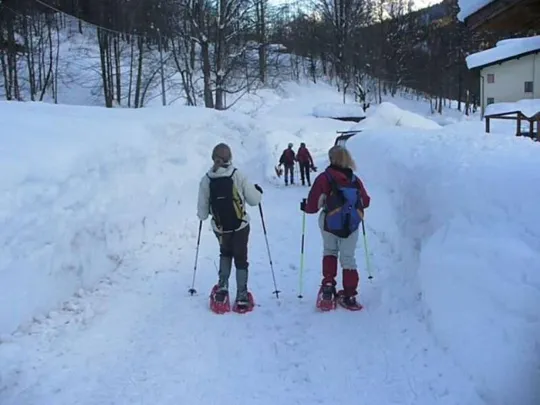 Malga Grava - Il ritorno ...