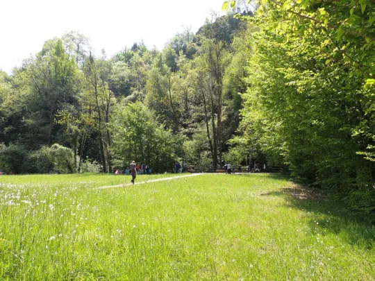 I prati accanto al parcheggio
