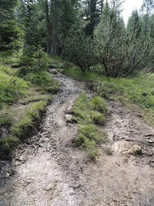 Orme Dinosauri - sentiero fangoso