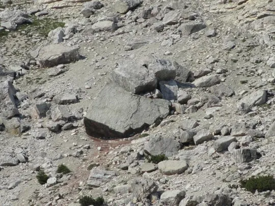 Orme Dinosauri - zoomata sul masso