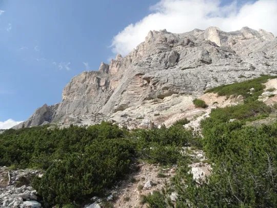 Orme Dinosauri - la traccia da seguire