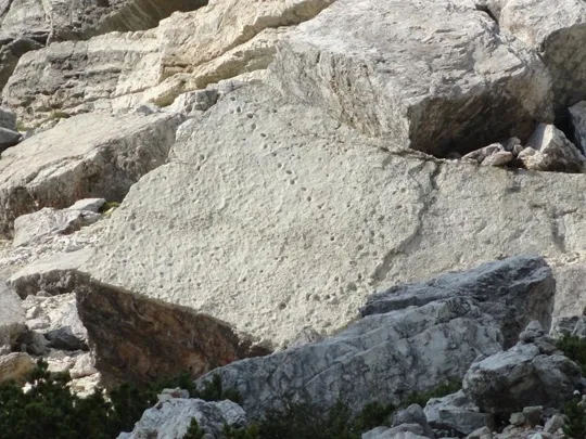 Orme Dinosauri - anche da lontano si intravedono bene le impronte