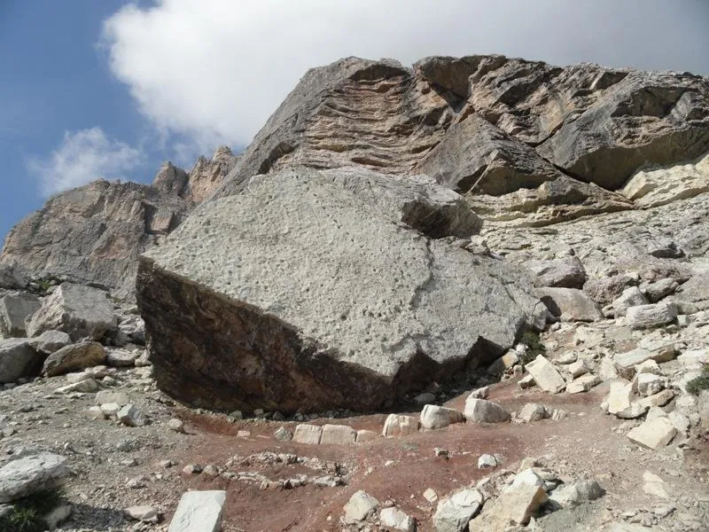 Le Orme dei Dinosauri