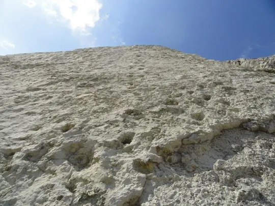 Orme Dinosauri - primo piano sulla pista C