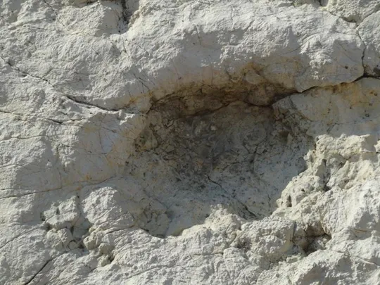 Orme Dinosauri - una delle impronte della pista C