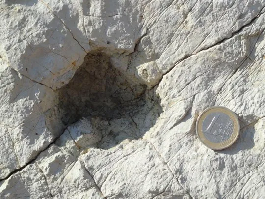 Orme Dinosauri - le dimensioni