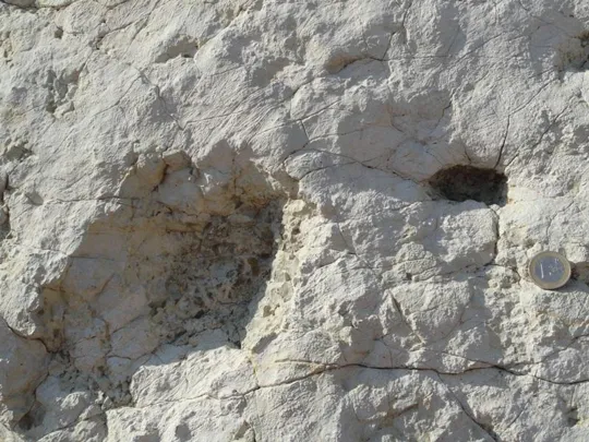 Orme Dinosauri - le dimensioni