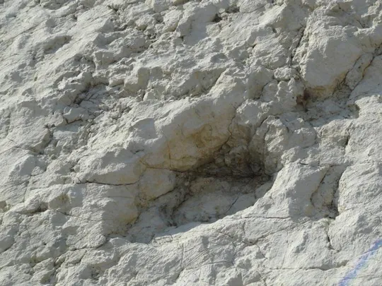 Orme Dinosauri - un'altra impronta