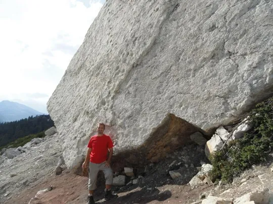 Orme Dinosauri - le proporzioni ...