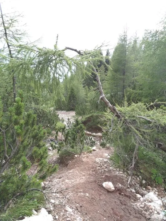 Orme Dinosauri - il sentiero nella parte bassa