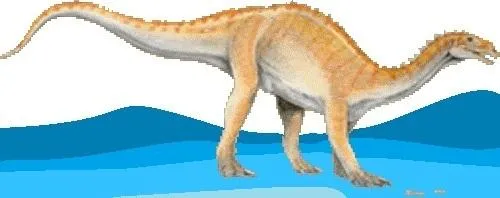 Orme Dinosauri - Esemplare di Prosauropode