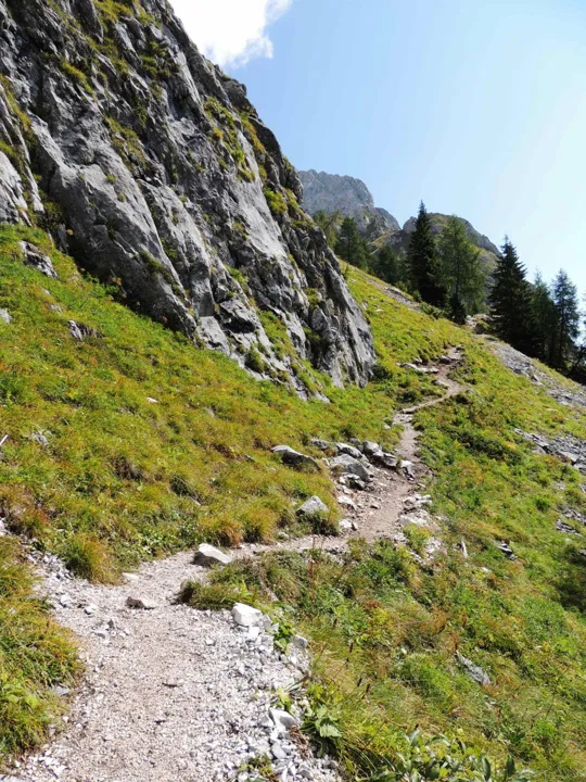tratto a mezzacosta sotto il Peralba