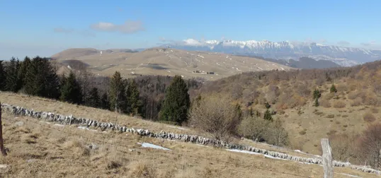 Sullo sfondo la catena del monte Baldo