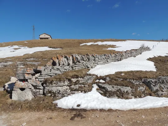 Particolare sui muretti a secco, tipici della zona
