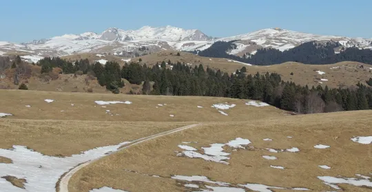 Il Gruppo del Carega